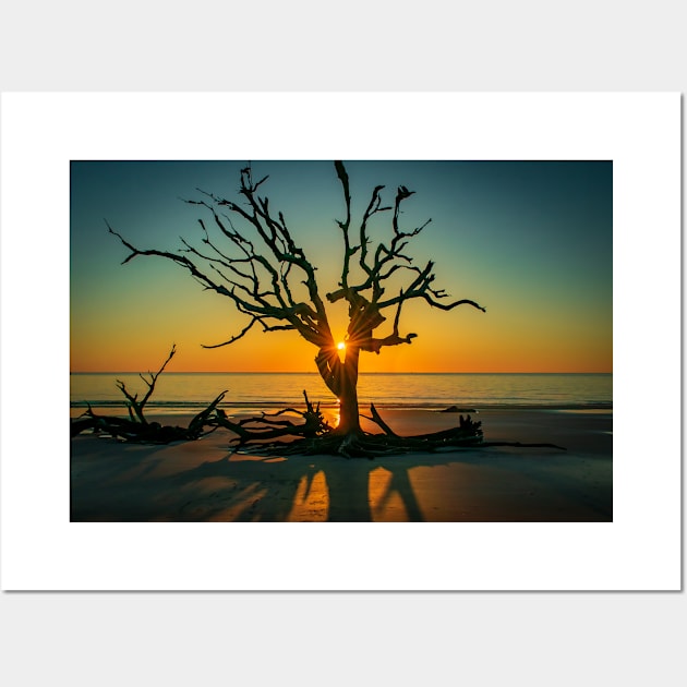 Jekyll Sunrise Wall Art by Ckauzmann